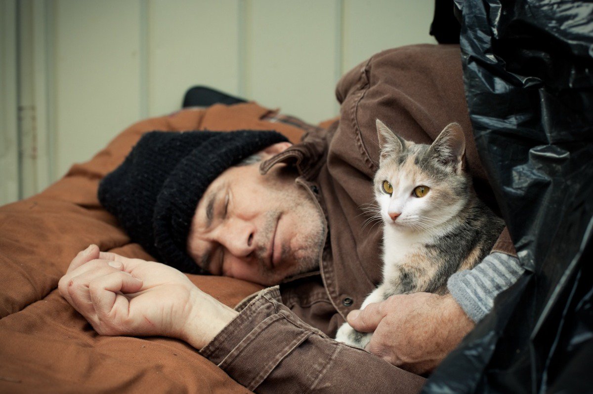 VetsPlusMore's tweet photo. 20,000 Animals Need Your Help 

The makers of Vets Plus More have launched a brand new initiative to connect thousands of animals with Vet Telemedicine. 

#vets #donate #pets 

Visit : https://t.co/glK5OgE7qe https://t.co/3shjKlN5wE