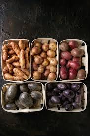 This spud’s for you: A breeding revolution could unleash the potential of potato - <a href="/sciencemagazine/">Science Magazine</a> tinyurl.com/ybydrl3l