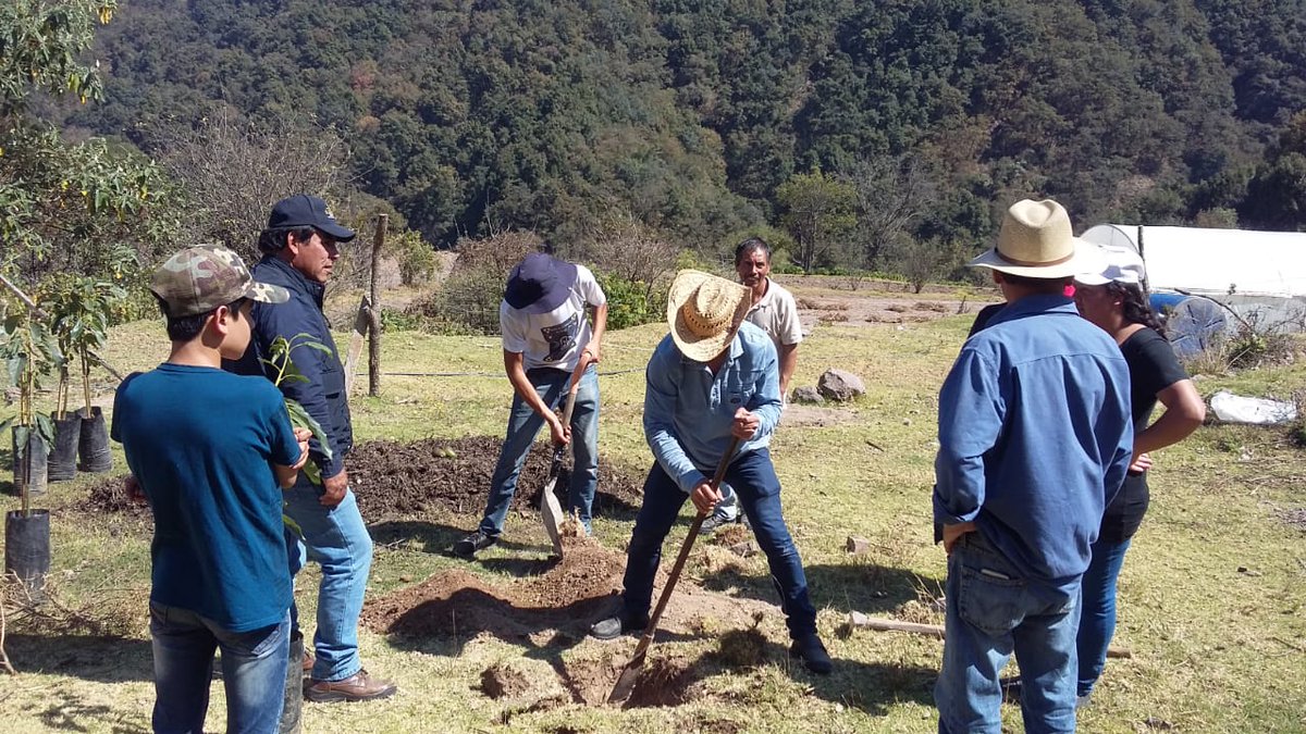 IslasPerus's tweet photo. El #ExtensionismoHidalgo, apoya a productores Acuícolas. En la capacitación para el manejo de Huertas Familiares, gracias a la vinculación entre cadenas  #SoyExtensionista @SEDAGRO_HIDALGO @Car_Muniz  @ecarizpe @crpachtula https://t.co/4AvZaK7czC