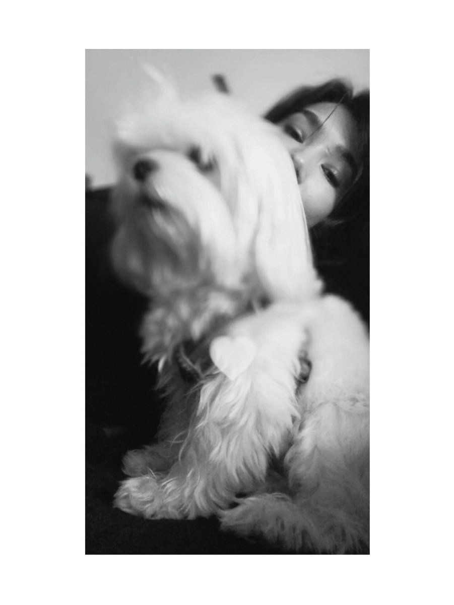 loveinsmyrna's tweet photo. Cute 🖤

#AybükePusat #BoranKuzum https://t.co/xNMsR7N3ca