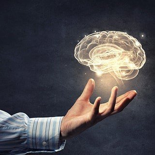 Join us for our February Chapter Meeting.  Jeff Echols will be talking all about brain science, and how you can win more projects and grow your revenue with brain friendly messages.  Don't miss it! conta.cc/2Die2GY