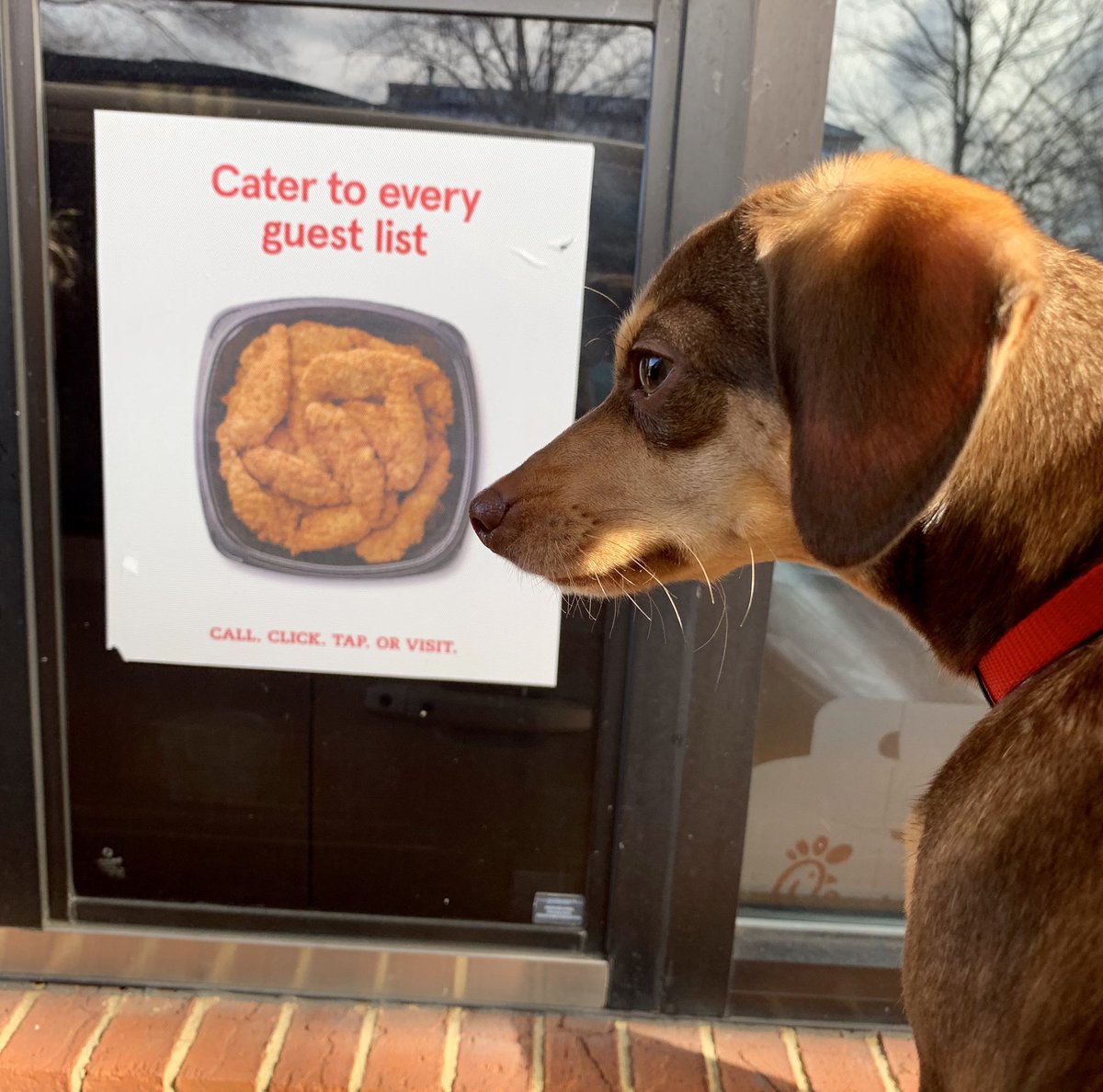 I can almost taste the yumminess!! <a href="/Chik_Fil_A/">Chik_Fil_A</a>