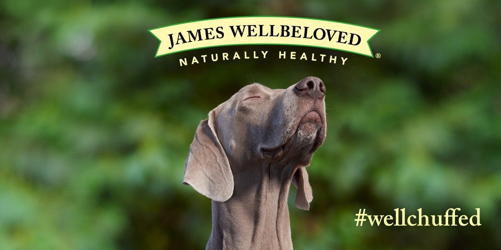 Crufts's tweet photo. **COMPETITION TIME!** Do you want to win 2 x Sunday admission tickets with Best in Show entry to #Crufts2019 from @WellbelovedPets?! 🏆

Retweet for your chance to win! 🐶

** Competition closes on Wednesday 13th February at 12.00pm ** https://t.co/BzvIEC8ltg