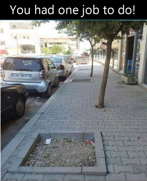 CryanLandscape's tweet image. #FunnyFriday 🤣
#landscapinghumor 🌳