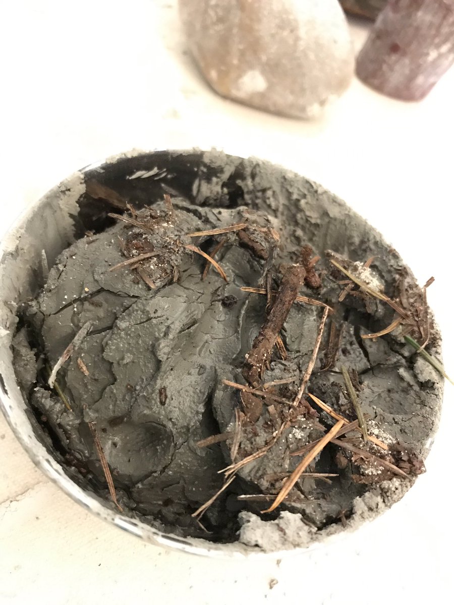 NardaNelson's tweet image. Rethinking materials w/ #Kimmerer #Haraway, @sylvia_kind, homemade spring rolls (!), popcorn, #climateactionchildhood #trees 

...&amp;amp; the politics of 
#paper #tape #clay #food #compost #reciprocity #responsibility #ece #wasteflows @ seminar this week