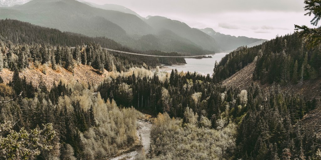 Forests have played a vital role in the economic health of Canada and support livelihoods. Squamish has a rich logging history and we want to educate visitors about the evolution of this industry at Squamish Canyon. #SquamishCanyon #Canada

Photo by Jacalyn Beales on Unsplash