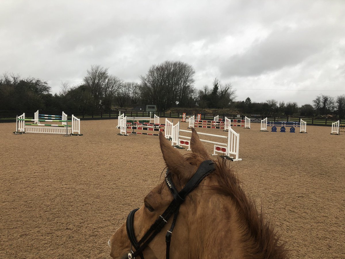 club_average's tweet photo. None of team average jumped a course for 3 months. . . on our own . . in storm Eric🌨💨🌪 . . . Can’t see a stride to save my life . . . bound to go well 🤦‍♀️😳#AmatuerProblems #IfNotHeardFromMayNeedRescuing @wayfarerevent1 https://t.co/g4hH6ZUAxO