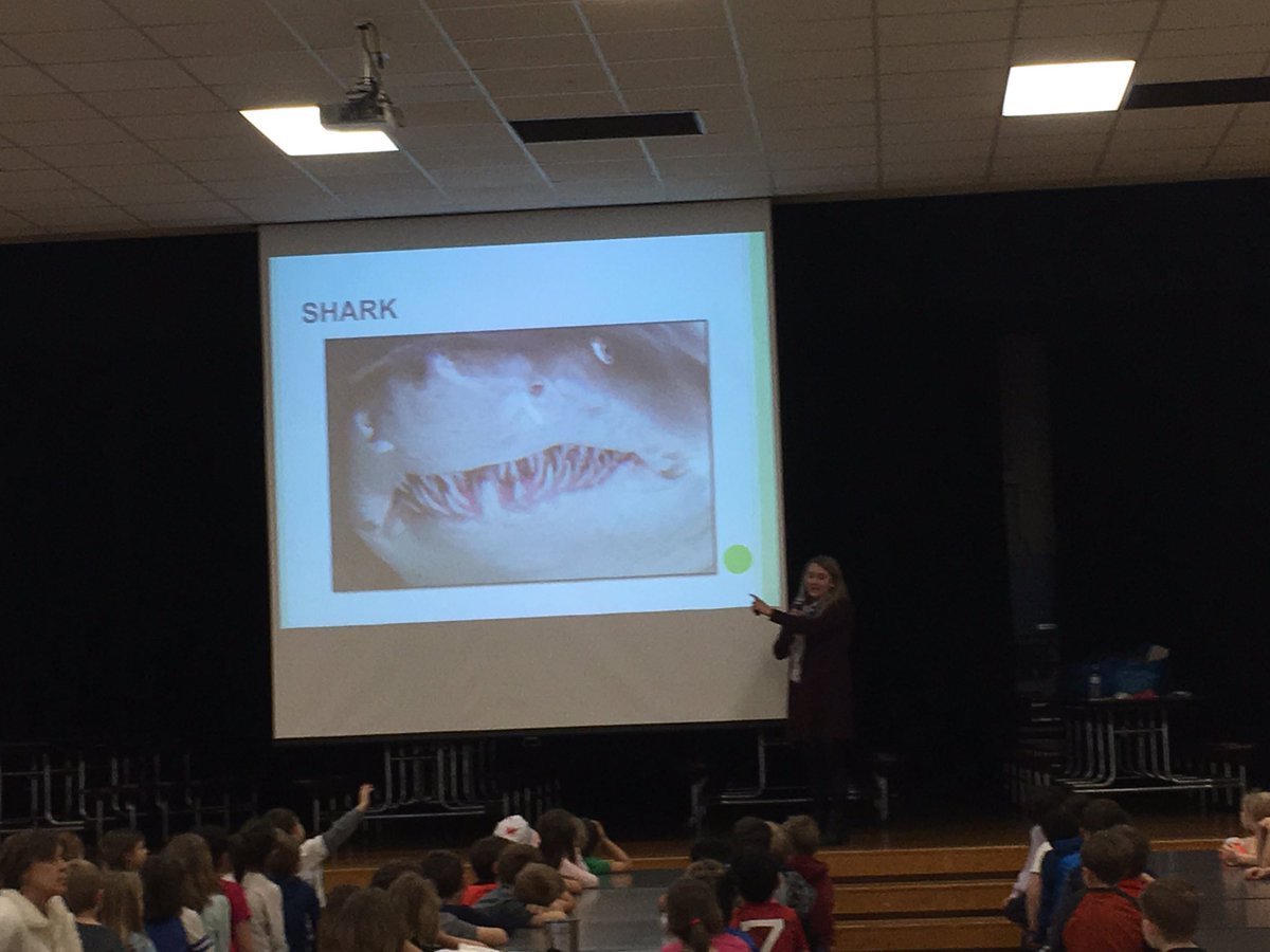 JBW1stGrade tweet media