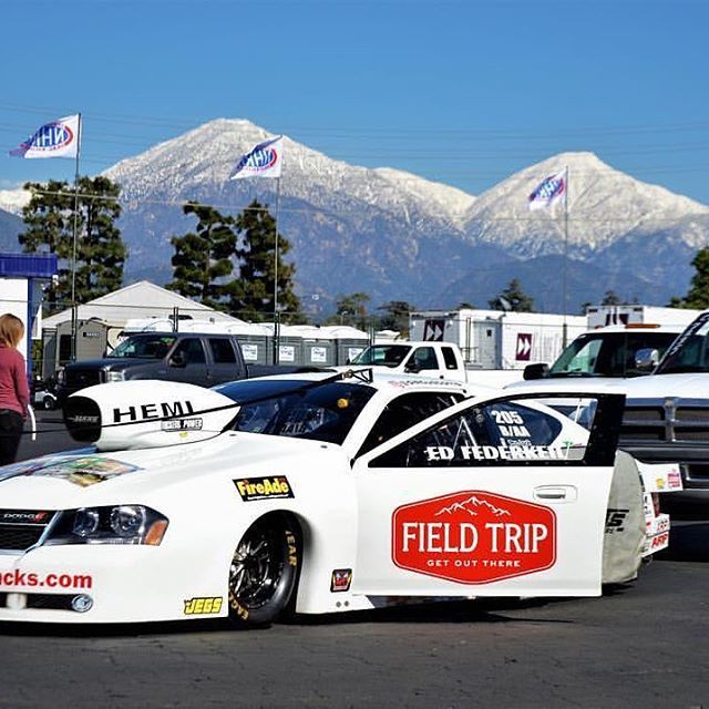 Field Trip tweet media