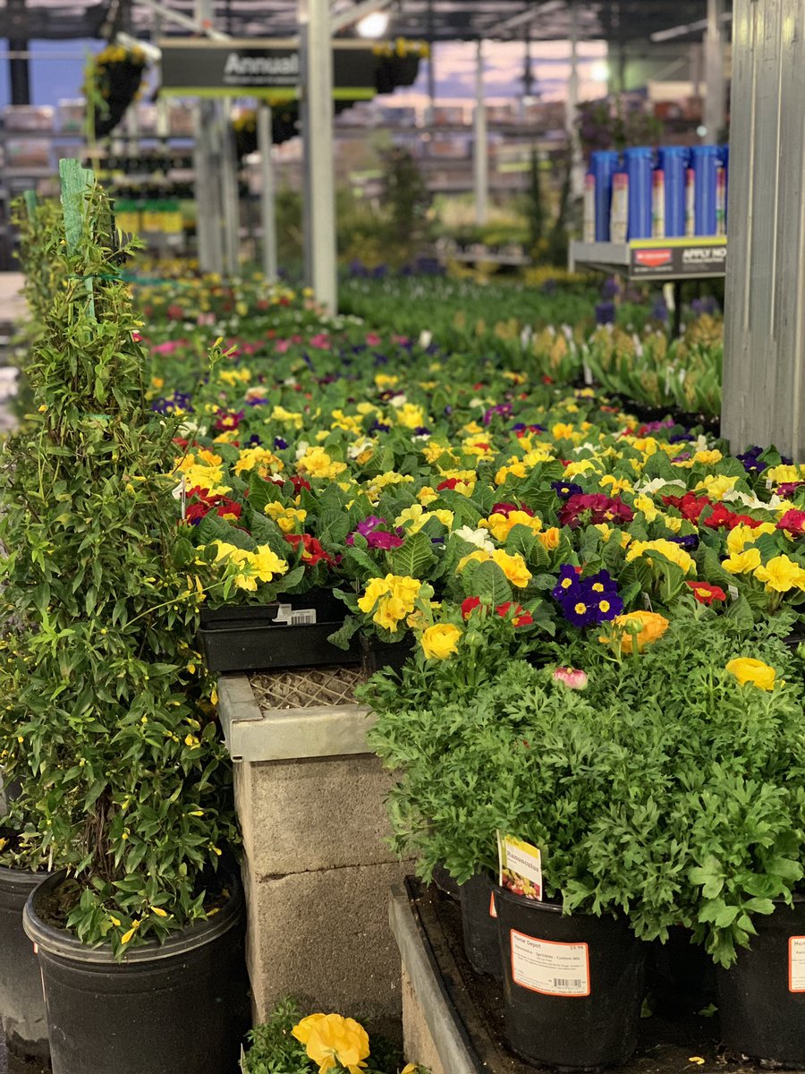 vanessaaramos1's tweet photo. Another beautiful/ cold early morning! 🥶BWOOD is ready for business!! 💪🏼Thanks to our awesome vendors who are here early hooking it up!!! #1076 #BWOOD #PacNorthProud #LGTM https://t.co/HXCJy68i5A