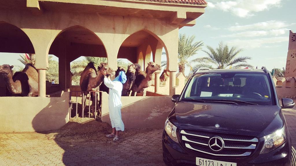 FirstMarrakechT's tweet image. Travel with #FirstMarrakechTours 🇭🇰
Travel Morocco in Luxury and comfort 😎 
#explore the Desert side good pace 🐪
#Disover #world #Marrakesh #Luxurytravel #Travelluxe #Luxetravel #DesertTour #LuxuryTours
Email: contact@first-marrakech-tours.com
WhatsApp number: +212(0)634626548