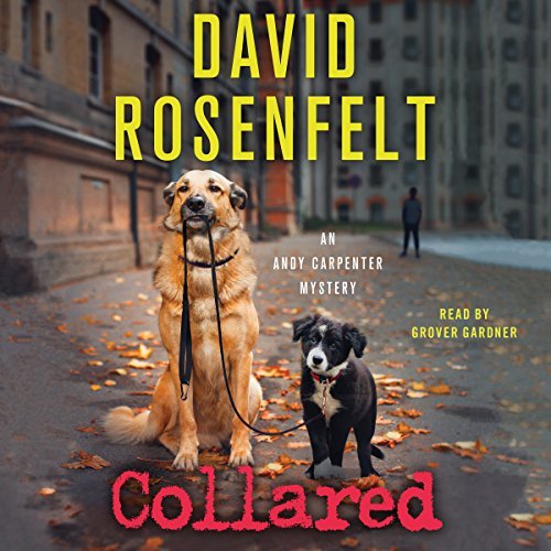 SteveCampbellFL's tweet photo. I'd forgotten how much I laughed when listening to the Andy Carpenter series, narrated by Grover Gardner.  #Loveaudiobooks #FridayListens #gettingfunnylooks https://t.co/8rPAO9sMkO