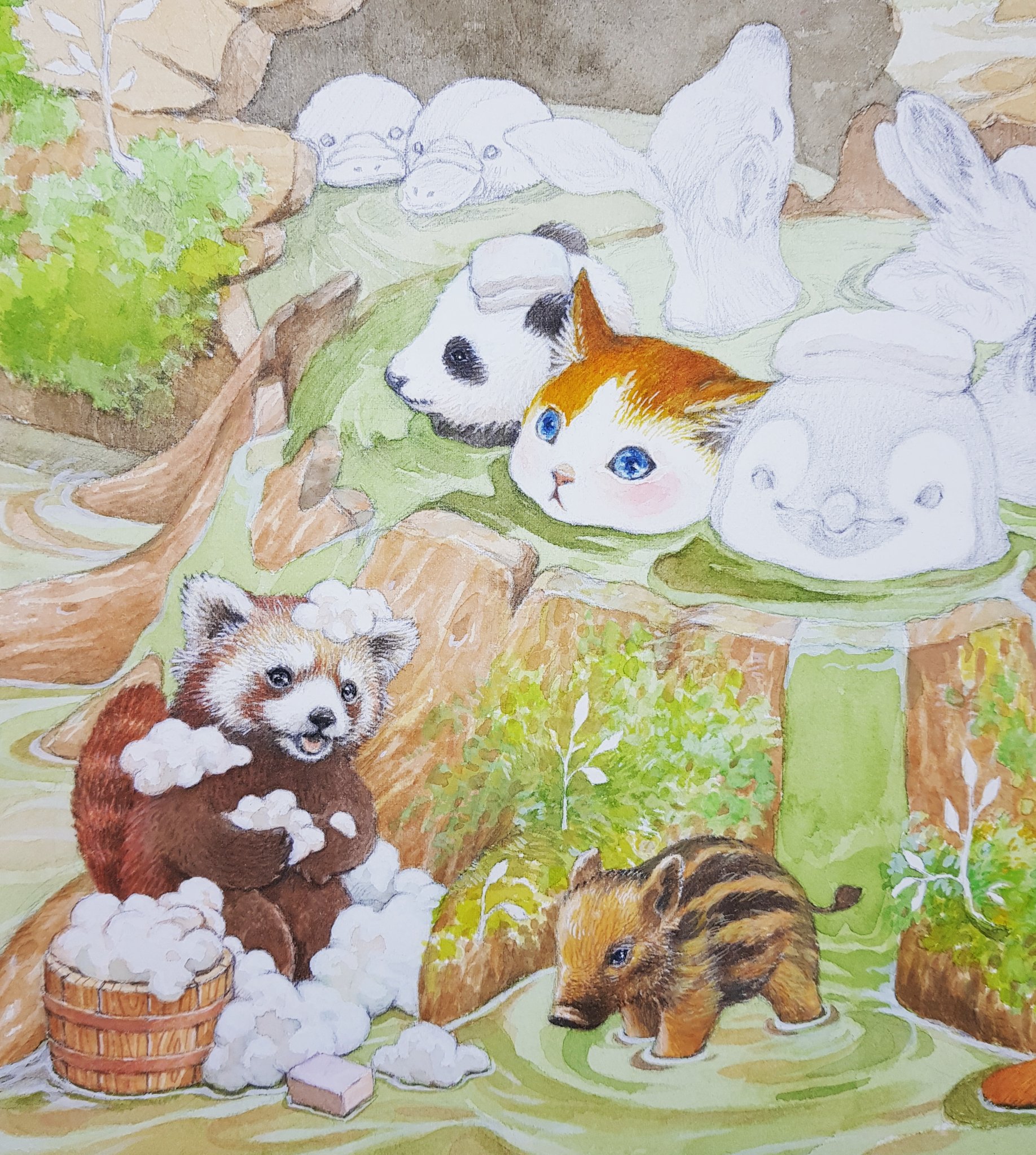 تويتر まなつとまふゆ 名古屋クリマk13 على تويتر 森の温泉 イラスト ペンギン 猫 パンダ レッサーパンダ イノシシ 猪 いのしし 水彩画 動物 T Co Tzcy7puc2j
