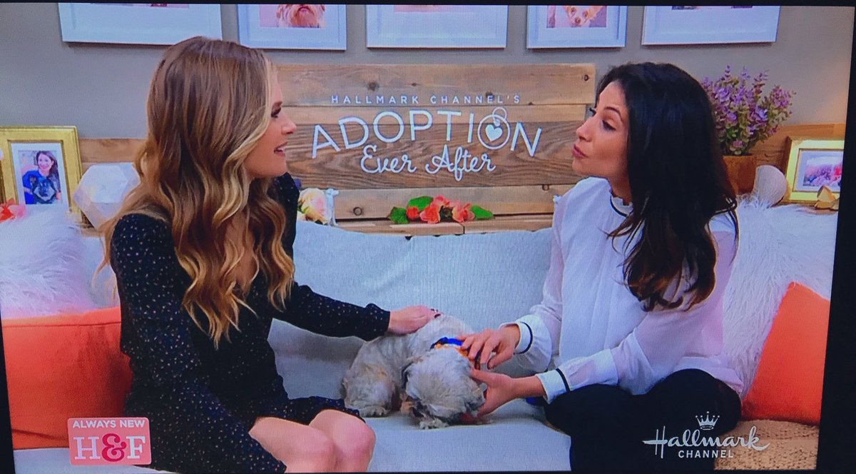 TheMLHerald's tweet image. “The animals and the kids heal each other in a lot of ways,” - @maggielawson on the impact of @TigerFrances. @HomeandFamilyTV