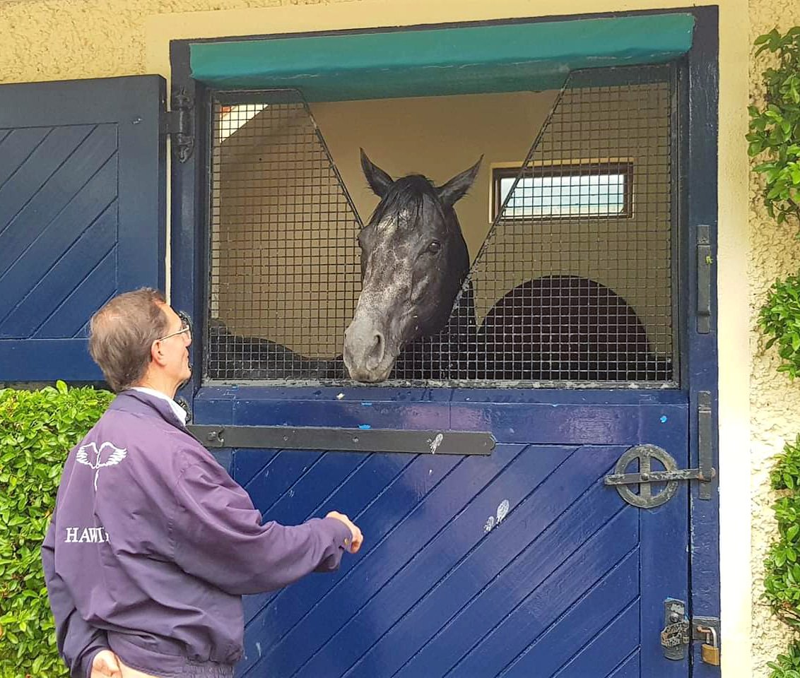 We've had a lot of enquiries already about our summer tours with #CoolmoreStud, so we're excited to announce that we are NOW taking bookings. This year they will run from May 21st to Sept 12th, every Tuesday and Thursday at 11.30 and 2.30 🐎 #FHCExperience #Fethard <a href="/VisitTipp/">TipperaryTourism</a>