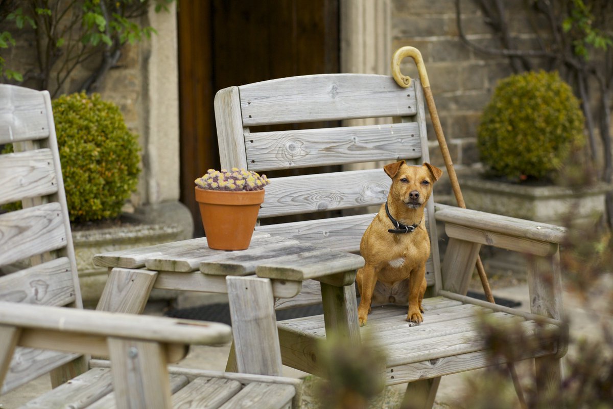 Headlam Hall tweet media