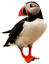 Charlotte White tweet media