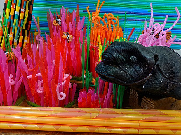 Sustainable Pittsburgh Restaurants (@sprpgh) on Twitter photo Have you met Ms. Webber, the otter? Next week is the last week to catch her and the rest of the <a href="/StrawForward/">SPR Straw Forward</a> friends at @CarnegieSciCtr RiverView Cafe! Share your pics with #StrawForward & learn more at:
straws.eatsustainably.org Have you met Ms. Webber, the otter? Next week is the last week to catch her and the rest of the <a href="/StrawForward/">SPR Straw Forward</a> friends at @CarnegieSciCtr RiverView Cafe! Share your pics with #StrawForward & learn more at:
straws.eatsustainably.org