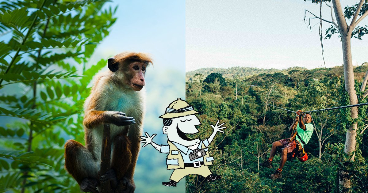 CityofJaxEvents's tweet photo. Hola from Costa Rica! Check out some photos I took of Costa Rica's most common mammal on the island...monkeys! Also, #funfact, Costa Rica is labeled a "blue zone". Meaning, that Costa Rica inhabitants commonly live active lives past the age of 100! Pretty cool right! #SafariSam https://t.co/kkYAs7n77t