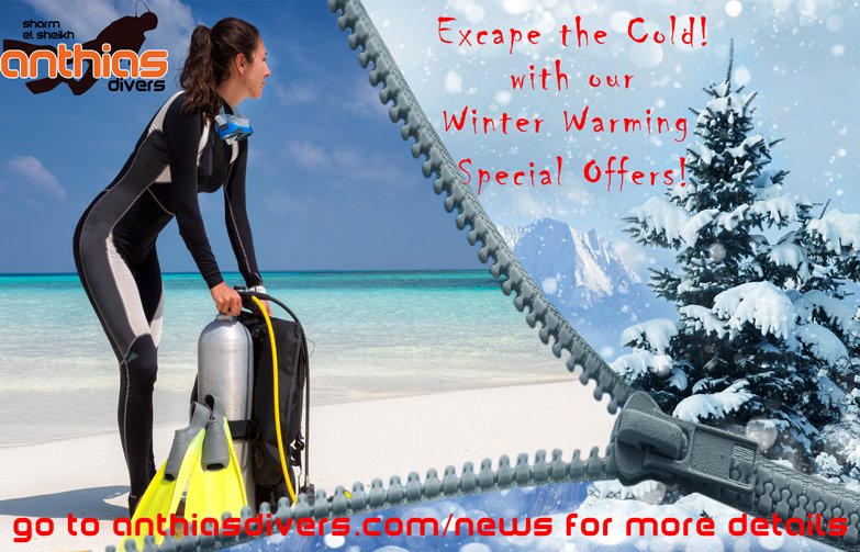 Anthias_Divers's tweet photo. Special Discounts for the winter Season!
More details @ 
https://t.co/J5tIThvOOU https://t.co/UK83v8u5ob
