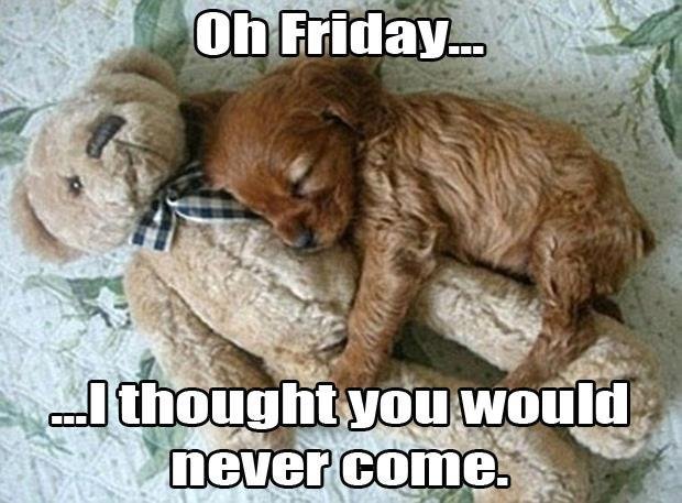 DudleysPizza's tweet photo. Happy Friday! We have regular HH from 4-6 pm and reverse HH starts at 9 pm! Come on in for drink specials that include $3.50 wells and wines, and $1 off pints, cocktails, and specialty drinks. Our HH food special is $5 off all 16" pizzas. We'll see you then! https://t.co/C0hbJxfkt6