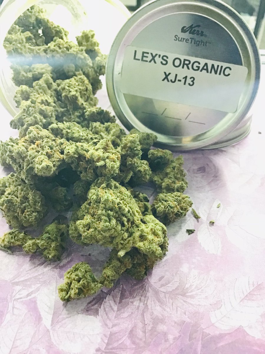 exit_710's tweet photo. XJ-13 is a sativa-dominant strain cherished for both its therapeutic potency and enjoyable euphoric buzz. This hybrid cross of Jack Herer and G13 Haze induces unencumbered cerebral effects perfect for stimulating creativity and conversation. #greenlife #xj13 #staymedicated https://t.co/0Au69QD1Le