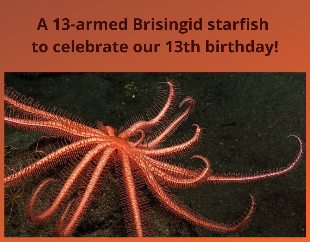 Ocean_Networks's tweet photo. Today is our 13th birthday! On 8 February 2006, the world’s first interactive real-time portal into the ocean was successfully installed in Saanich Inlet near Victoria, BC. The top 10 reasons to celebrate ONC's first decade: https://t.co/J0eBYrCRBa #knowtheocean #YYJ https://t.co/RGU9CAQNbW