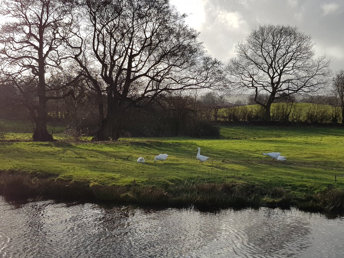 BorderlandCally's tweet photo. Says a lot when the canal has waves on it. Shows how blustery it is. Lots of water being released into the #RiverCeiriog too. That was looking a bit mucky and wild.
#Walking1000milesin2019
#soaked #joysofwalking https://t.co/oZEHMmxgiX