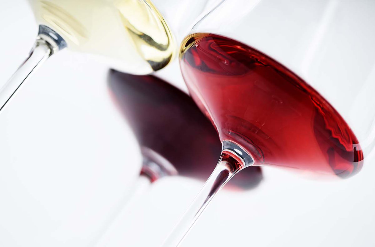 En #CasaCanut damos la bienvenida al fin de semana con nuestra nueva carta de vinos. ¿Quieres descubrirlos? 🍷 A #CasaCanut, nous commençons le weekend en donnant la bienvenue a notre nouvelle carte des vins! Voulez-vous la découvrir?
#novacartadevins #vins #canut #hotelcasacanut