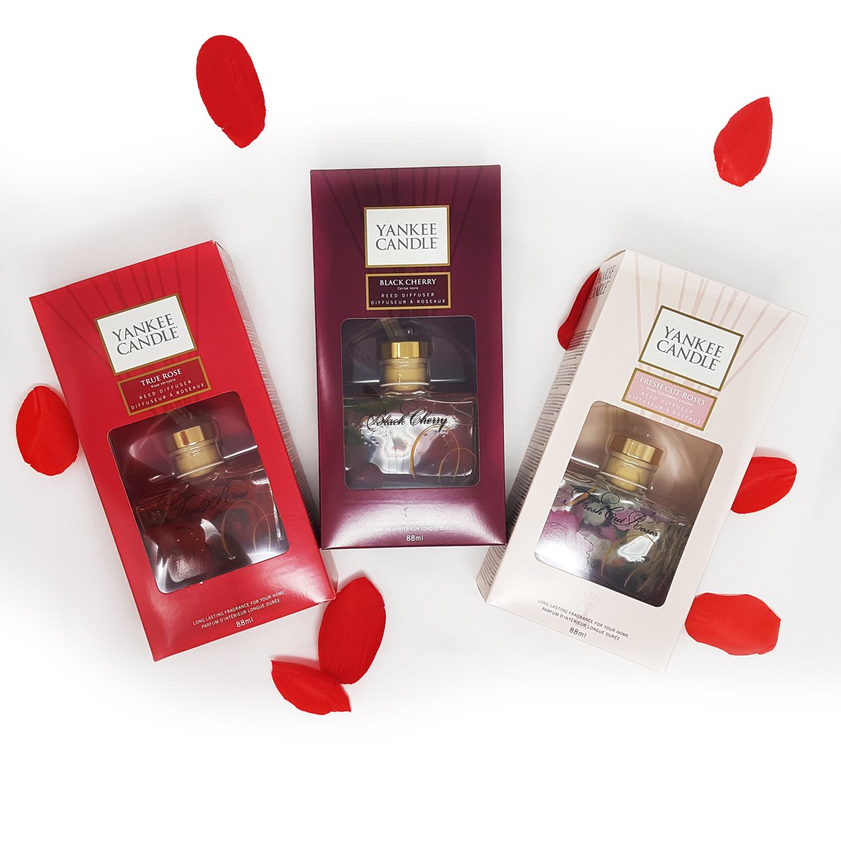 Cardzone tweet media