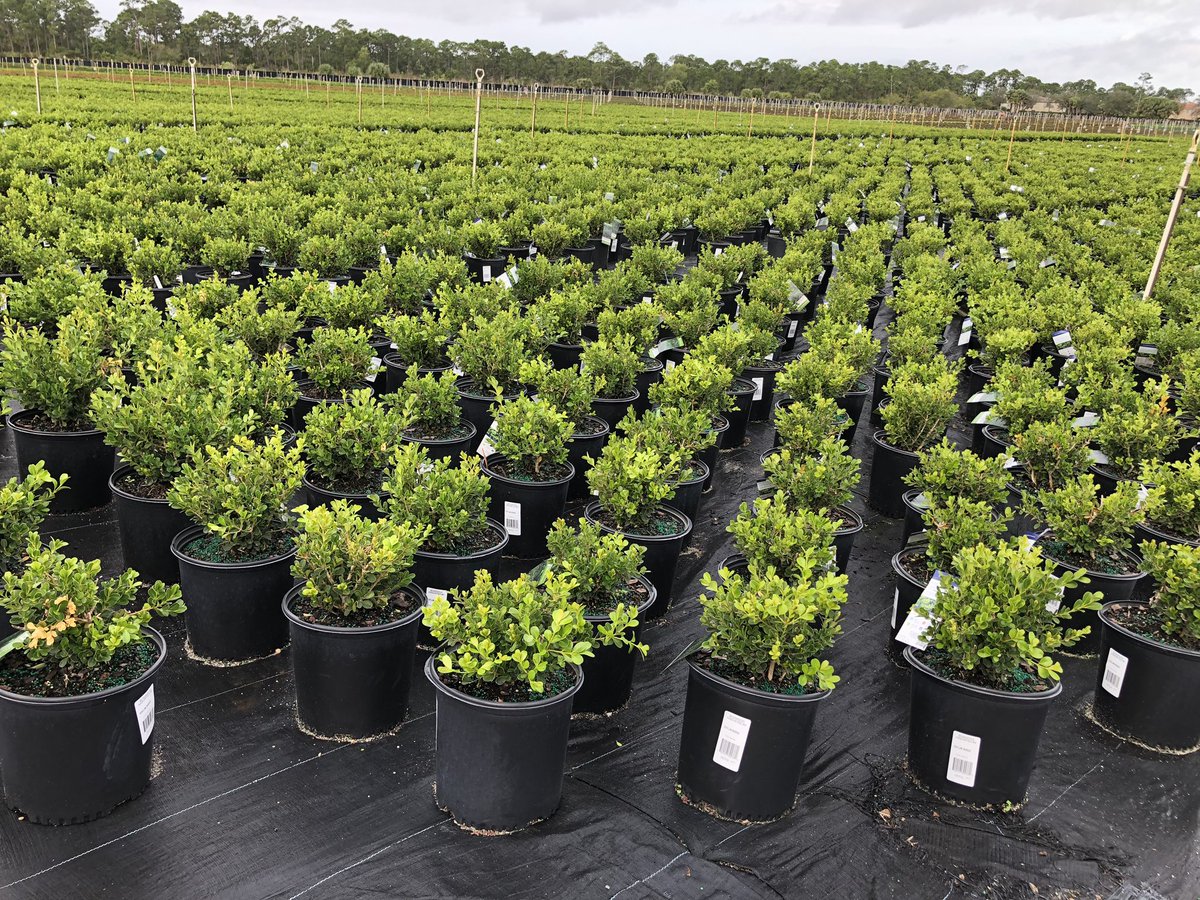 Hooligan_Chad's tweet image. Who’s ready for spring?!? #spring