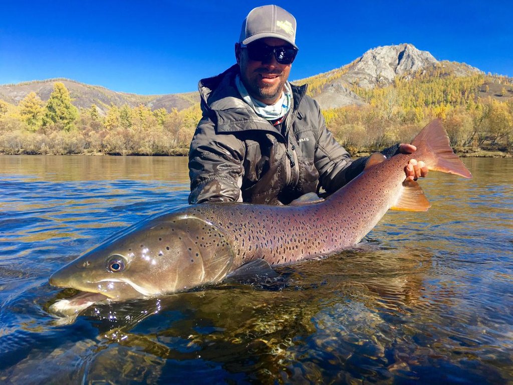 AardvarkMcLeod's tweet image. BIG FISH FRIDAY! A strong autumnal taimen prepares to head back to its stunning home in the clear waters of the Mongolian Steppe.

Contact us for the latest availability to experience a true fly fishing wilderness.
#FlyFishing #Fishing #Travel #Mongolia #Taimen