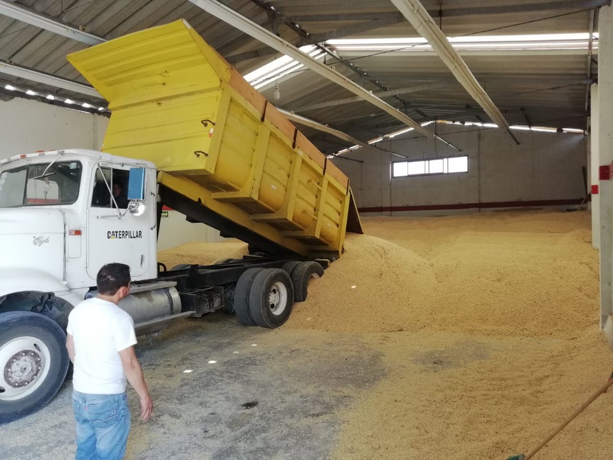 LuisAguilarMod3's tweet photo. El punto de partida del siguiente ciclo agrícola sin duda tiene que ver con los recursos económicos disponibles. Es importante asegurar la venta y si éste se logra a un mejor precio; el productor será el más beneficiado. #PROAGROCapacita, #CIMMYTporMexico #AlianzasSustentables https://t.co/iFwT3dQSTb