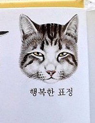 jjunehana's tweet photo. 습식 먹고 왜 맨날 저 표정이지 했는데 이제 깨달았다 https://t.co/yk9NDjqwoG