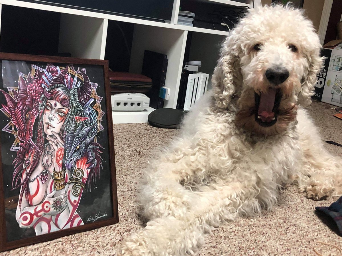 Sunsinger_band's tweet photo. Ollie is in love with the new artwork 😍😍😍 https://t.co/oLJwZtRFXU