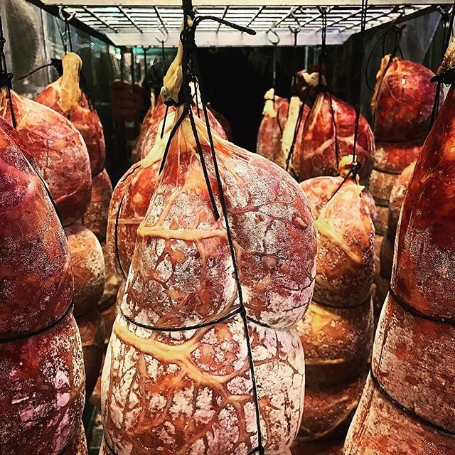 FoodsTempus's tweet photo. First batch of our large format achari salami out of fermentation. Light dusting of mold and awesome colour. Always blows us away how the fermentation process deepens the colour so dramatically. #britishcharcuterie #charcuterie #meatschool #saucisson #sa… https://t.co/rXhrfmtulx https://t.co/JuYNC8Jdob