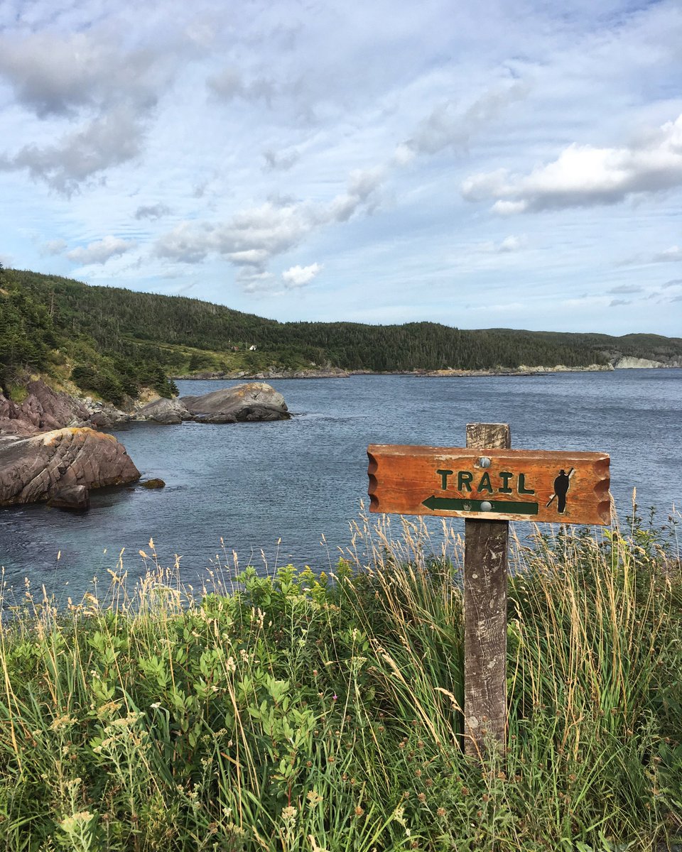olp_plo_canada's tweet photo. So many places to explore yet so little time!
#myexplore #jexplore #newfoundland #terreneuveetlabrador #estcoasttrail #hiking  #exploreTNL #exploreCanada 
Photo: Marilynn Guay-Racicot (@lagrossecalifornienne) https://t.co/19SxSEAOL4