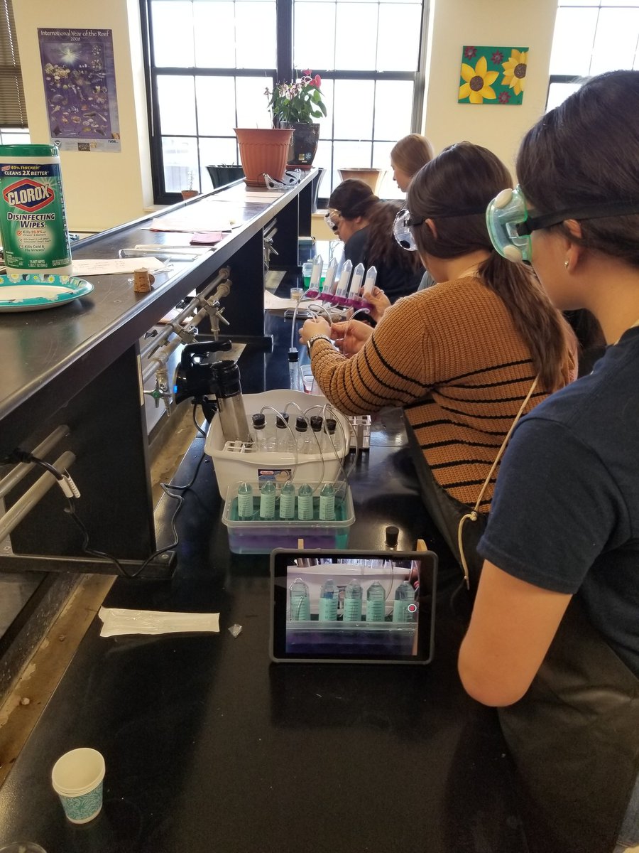 Continued Fermenration lab with results on time lapse #SCHSBeavers  <a href="/kscorn/">Kansas Corn</a> <a href="/kansascornSTEM/">Kansas Corn STEM</a>