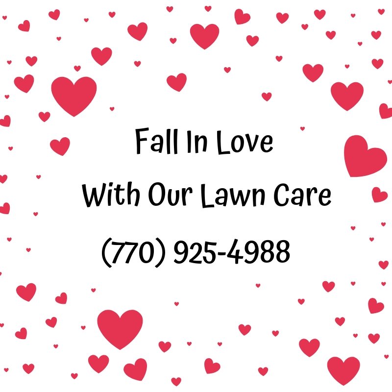 TrimlawnLand's tweet photo. Need help cleaning up your yard and landscape? 

Trimlawn Landscape Services is here to help, give us a call today and schedule an appointment today.

https://t.co/Ec4AHCEEC8 https://t.co/Xno092Iu94