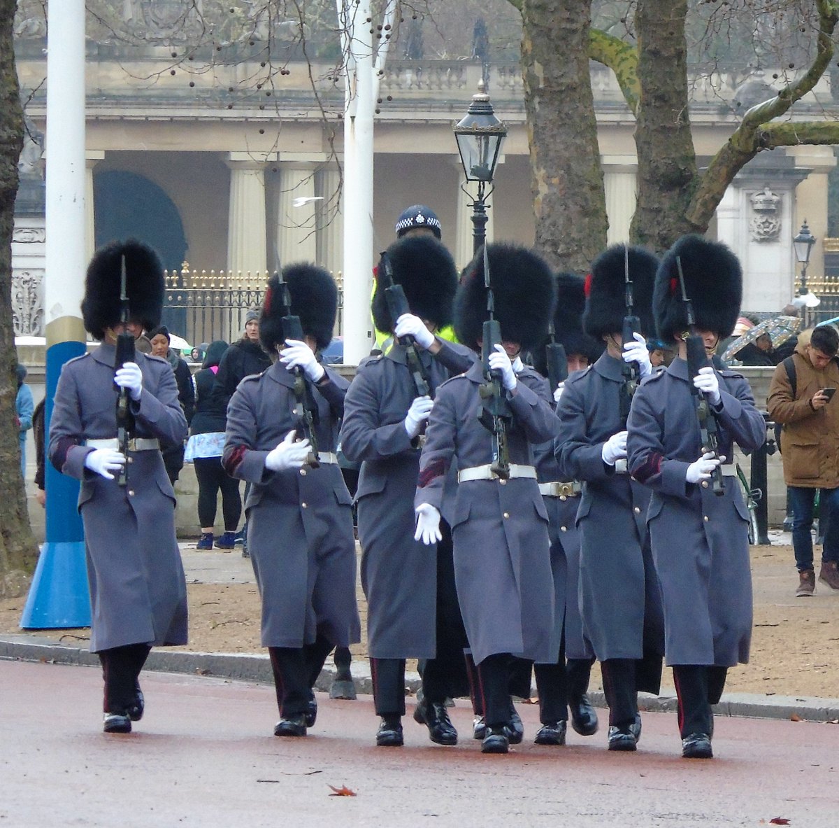 bisset_philip's tweet photo. @WeLoveLondon3 #IrishGuardsBand #ColdstreamGuards #HCMR #ChangingGuard #London https://t.co/40mpxZm8MF