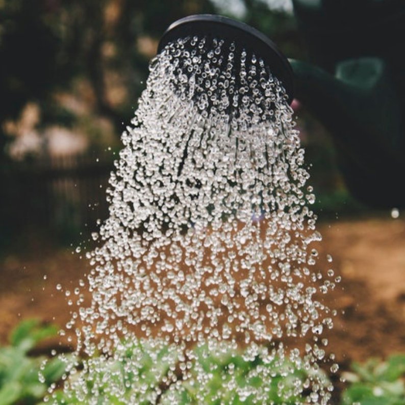 Stem believes in harnessing the brilliance of Mother Nature to benefit daily life, local communities, and bottom lines. #cannabiscommunity #lifestyle #wellness #cannabisstocks buff.ly/2OcVMq3 #cannabisindustry