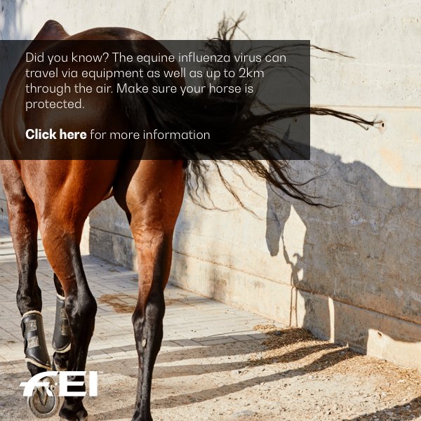 FEI_Global's tweet photo. Following the recent outbreak in equine influenza, we share the best ways to protect your animals from the virus ⏩ https://t.co/YHlGWHQcoL https://t.co/5LG4YroTXu