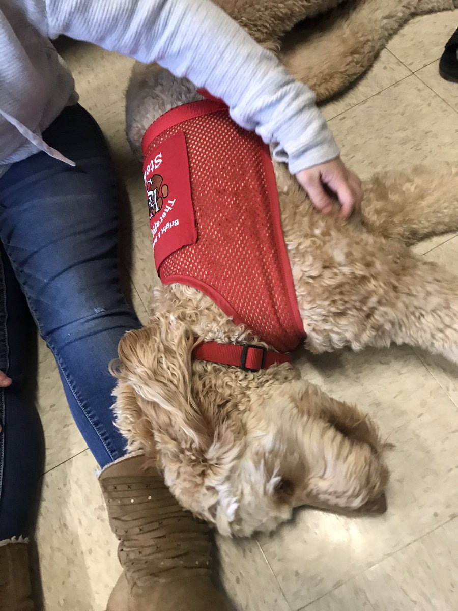 OceanSac's tweet photo. Our animal assisted therapy group allowed us to check in about the start of second semester as well as create hearts of gratitude. When you practice gratitude, it’s a gift you give to others and yourself! #Stella #gratitude #spartanlegacy https://t.co/ZkaBCic3hL