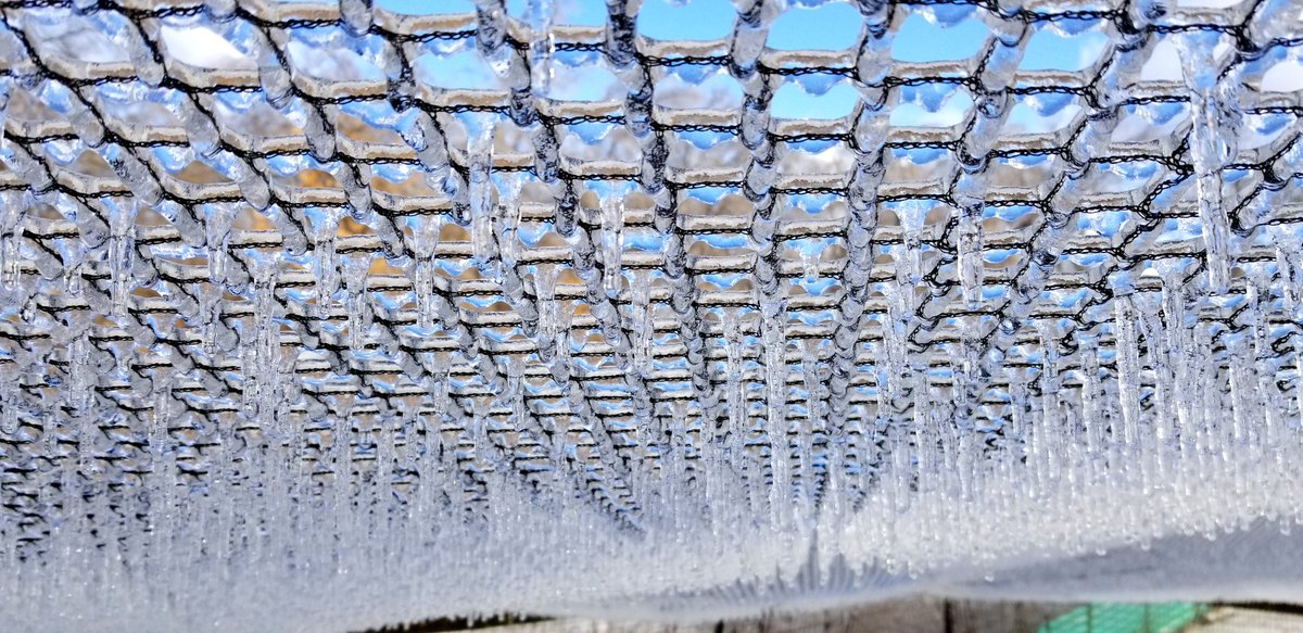 PinnonHatch's tweet photo. Ice Storm 2019 at Pinnon Hatch Farms
#PinnonHatchFarms #PinnonHatch #PoultryNetting #poultryfarm #backyardpoultry #urbanfarming https://t.co/HmJMMpfCEH