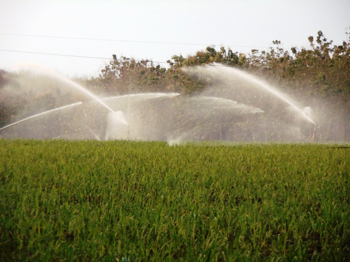 GtCodeca's tweet image. 4 defensor@s de derechos del agua, son criminalizados por el ingenio el Pilar y Magdalena en Champerico Retalhuleu, han denunciado desvíos y contaminación de ríos, se presentaron en el juzgado pluripersonal de Retalhuleu.