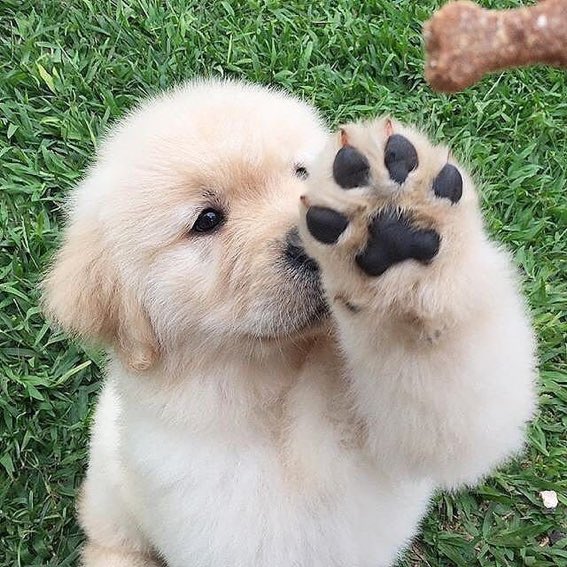 AnimalsHumor's tweet photo. https://t.co/HE4CQLGlWe