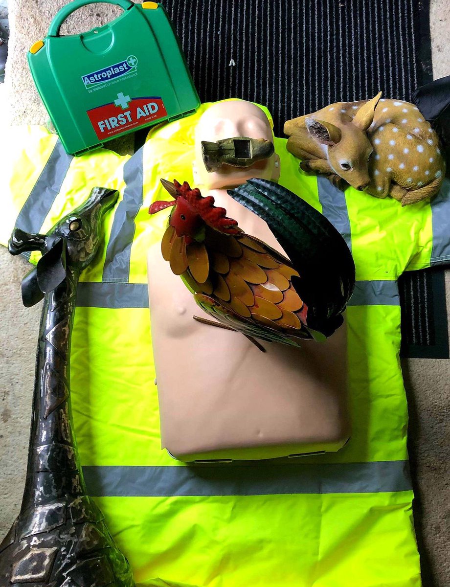 Hello from Kevs Chicken........... Sorry I've been a bit quite 🏜 Me and my animal friends were busy today with naloxone training, first aid, heart start and mouth to mouth resusitaion. 
Giraffe got bored and went for a wonder in Callendar Park with his hi-viz due to the weather!