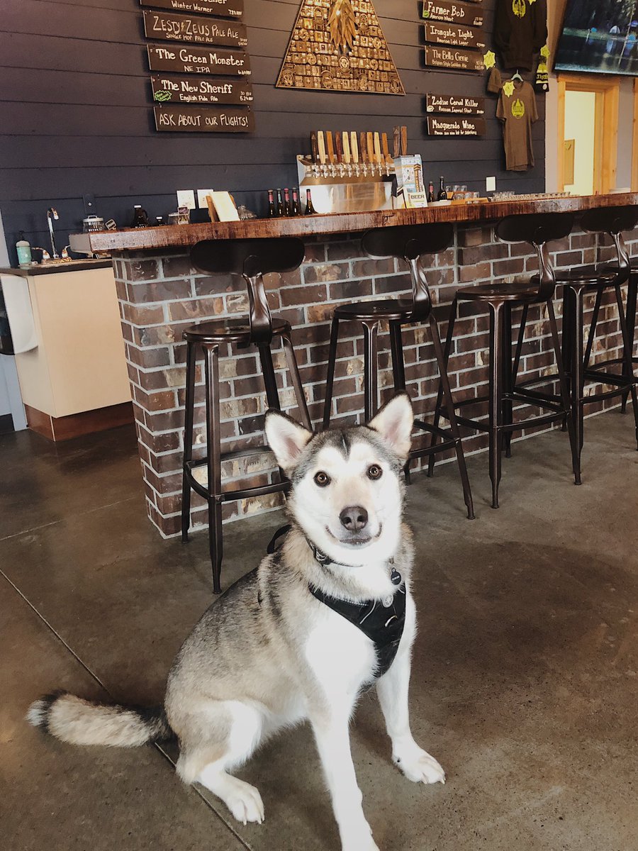 Kaiya thinks you should embrace your inner snowdog and and brave the cold. Open til 9 today!
#washingtonbreweries #bellingham #bellinghamtaptrail #brewery #craftbeer #illuminatibrewing #dogsofinstagram #brewdogs