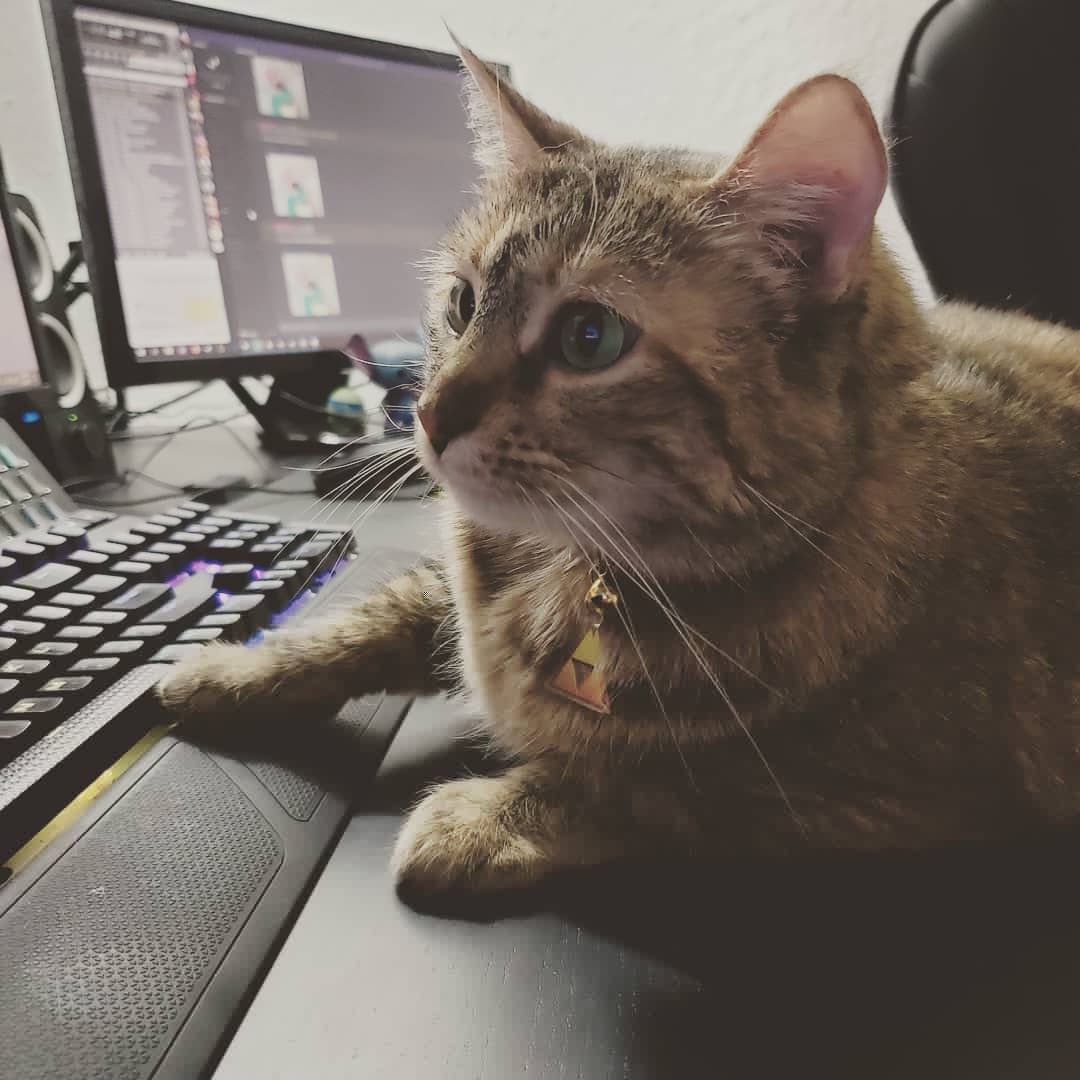 bestpeanutNA's tweet photo. Mrow. Me and the roommate have been playing the new RE2, we have been having hella fun! Mrow.
#cat #cats #catsofinstagram #catsofinsta #queen #residentevil2 #residentevil2remake #peanu https://t.co/aMVMjUNbyu