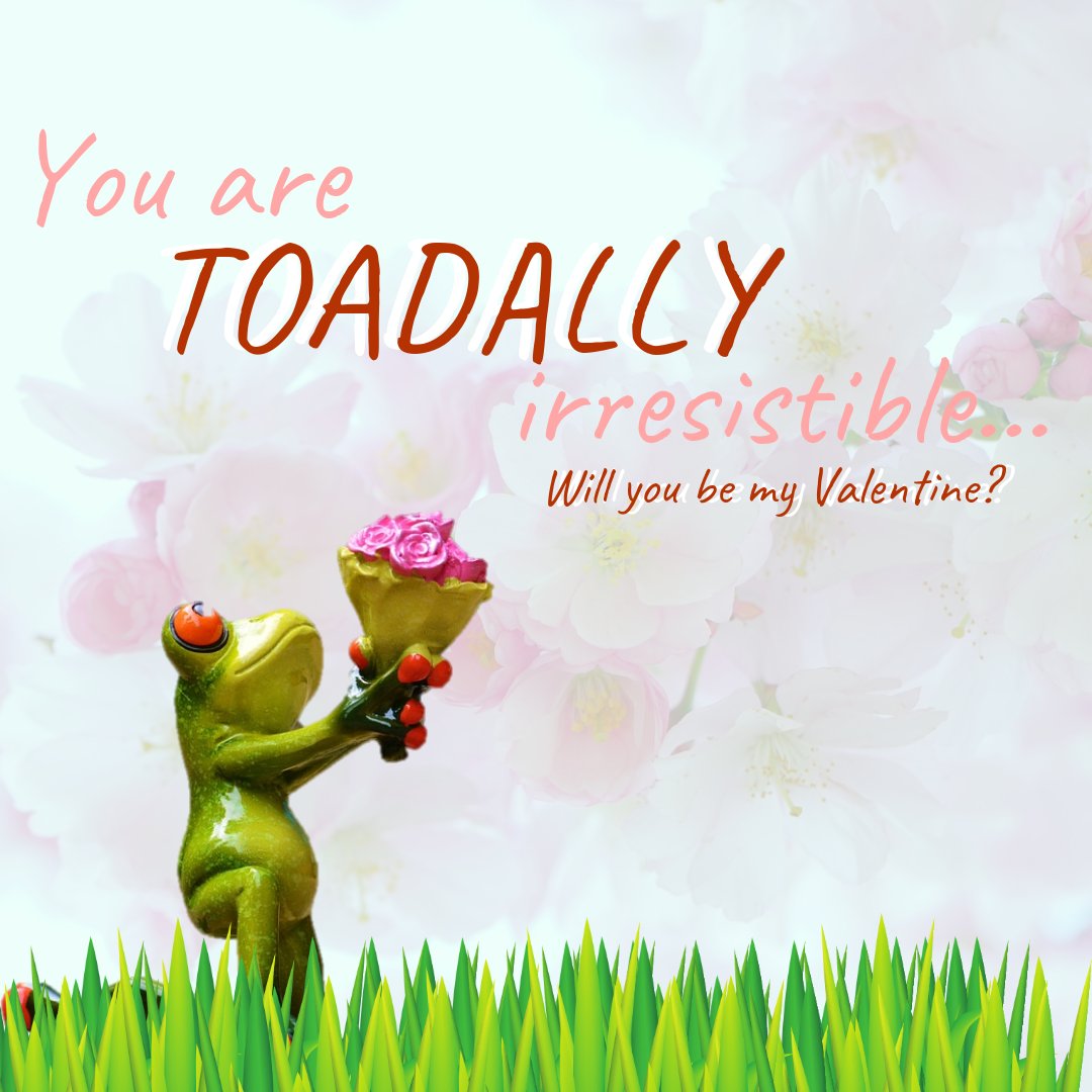 simiconroys's tweet image. Can you believe that Valentine's Day is right around the corner? Let us help you with that last minute Valentine's Day shopping. Visit our page and see what beautiful flowers we have in store and place an order today: simiflowersandgifts.com/shop-by-occasi…